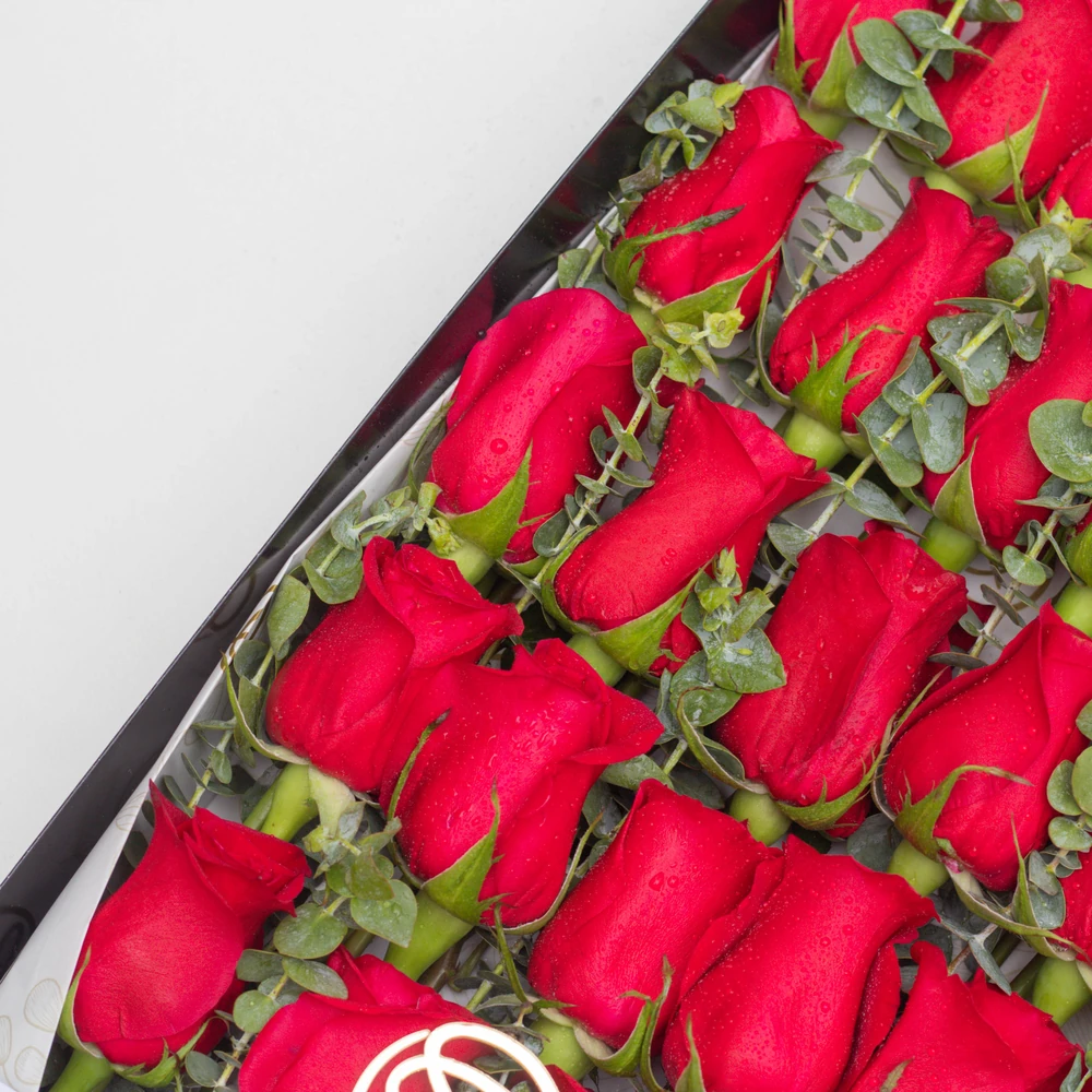 CAJA LARGA 24 ROSAS — rojas