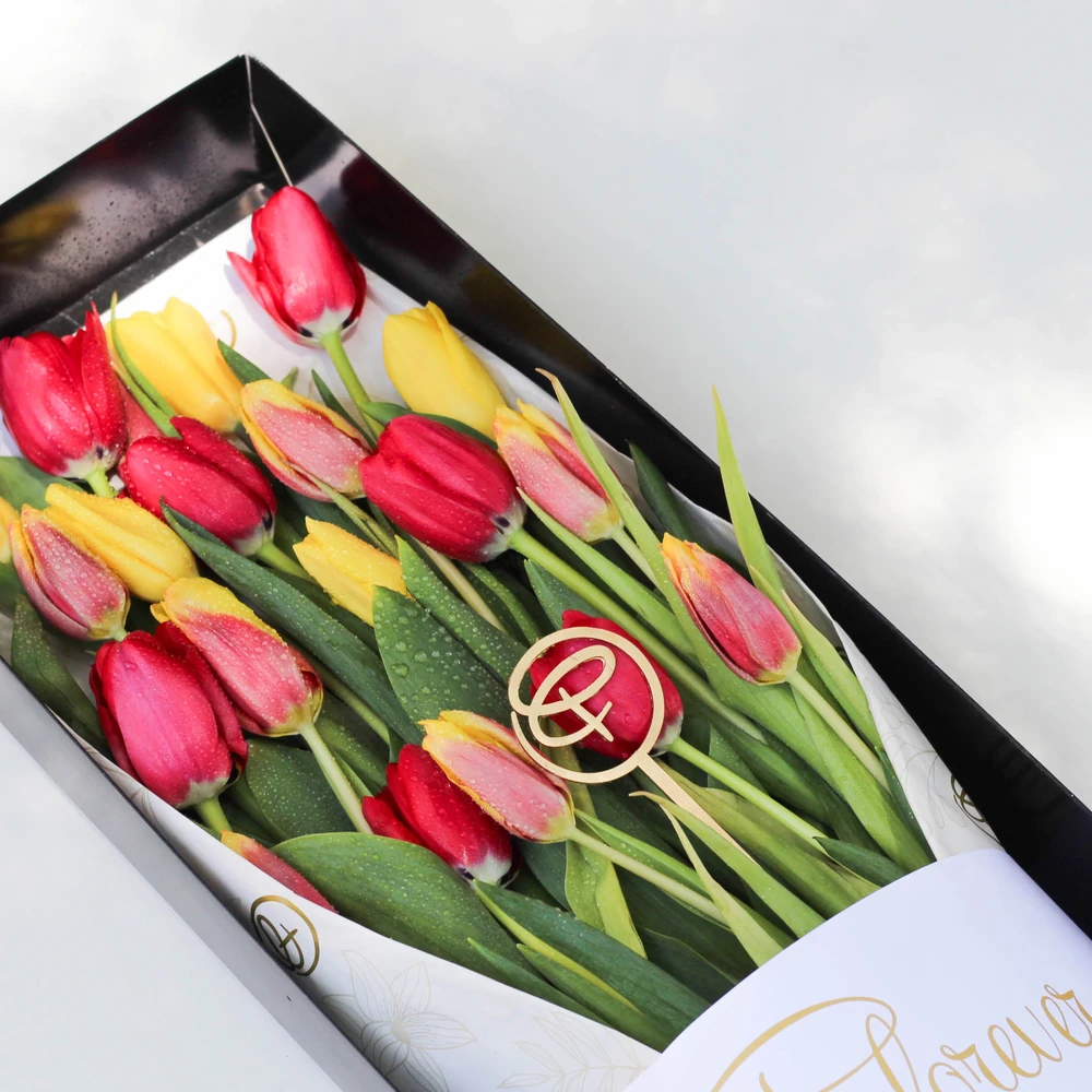 CAJA LARGA 24 TULIPANES — tulipan