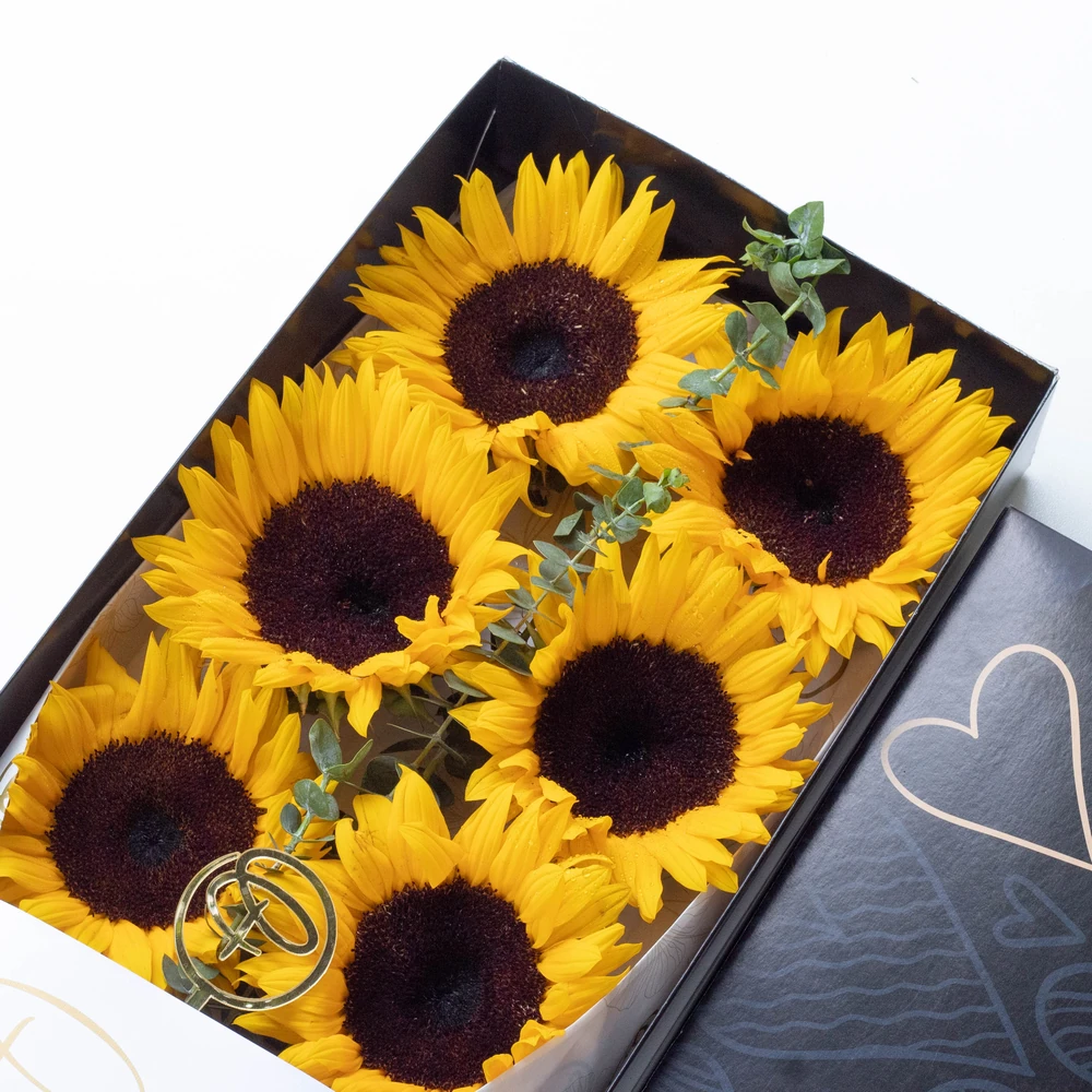 CAJA LARGA 6 GIRASOLES — GIRASOL