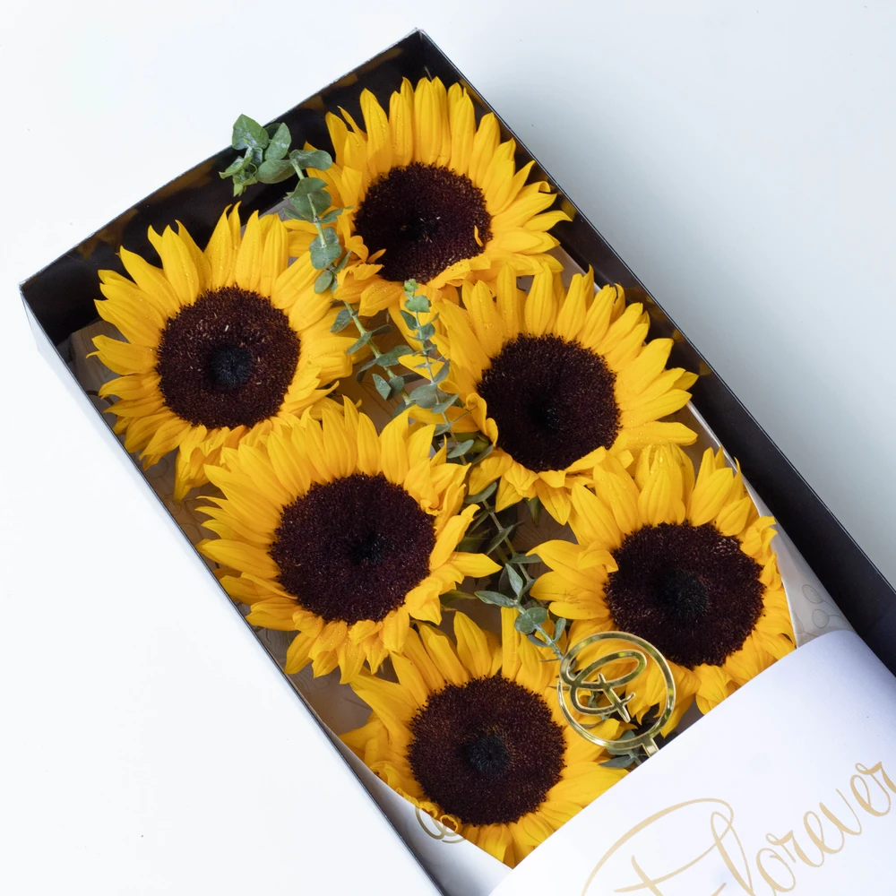 CAJA LARGA 6 GIRASOLES — GIRASOL