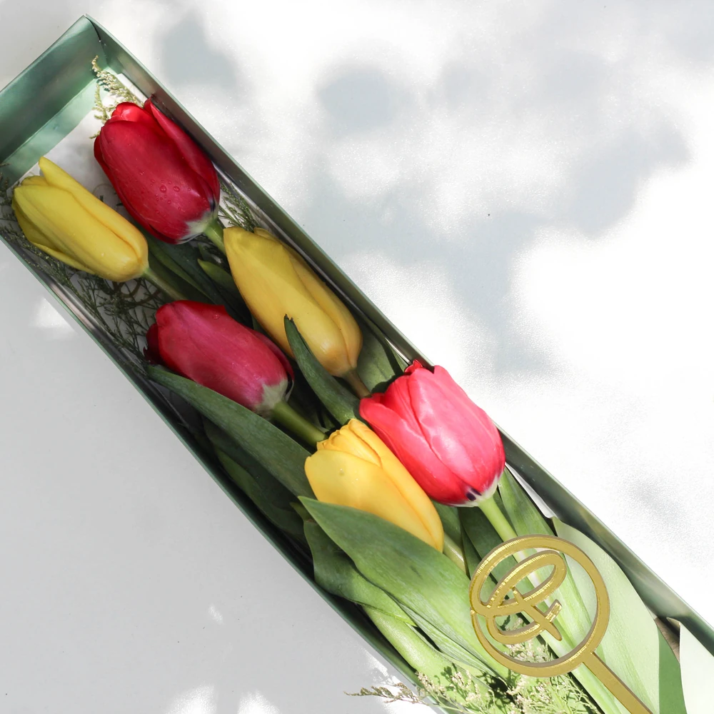 CAJA LARGA 6 TULIPANES — tulipan