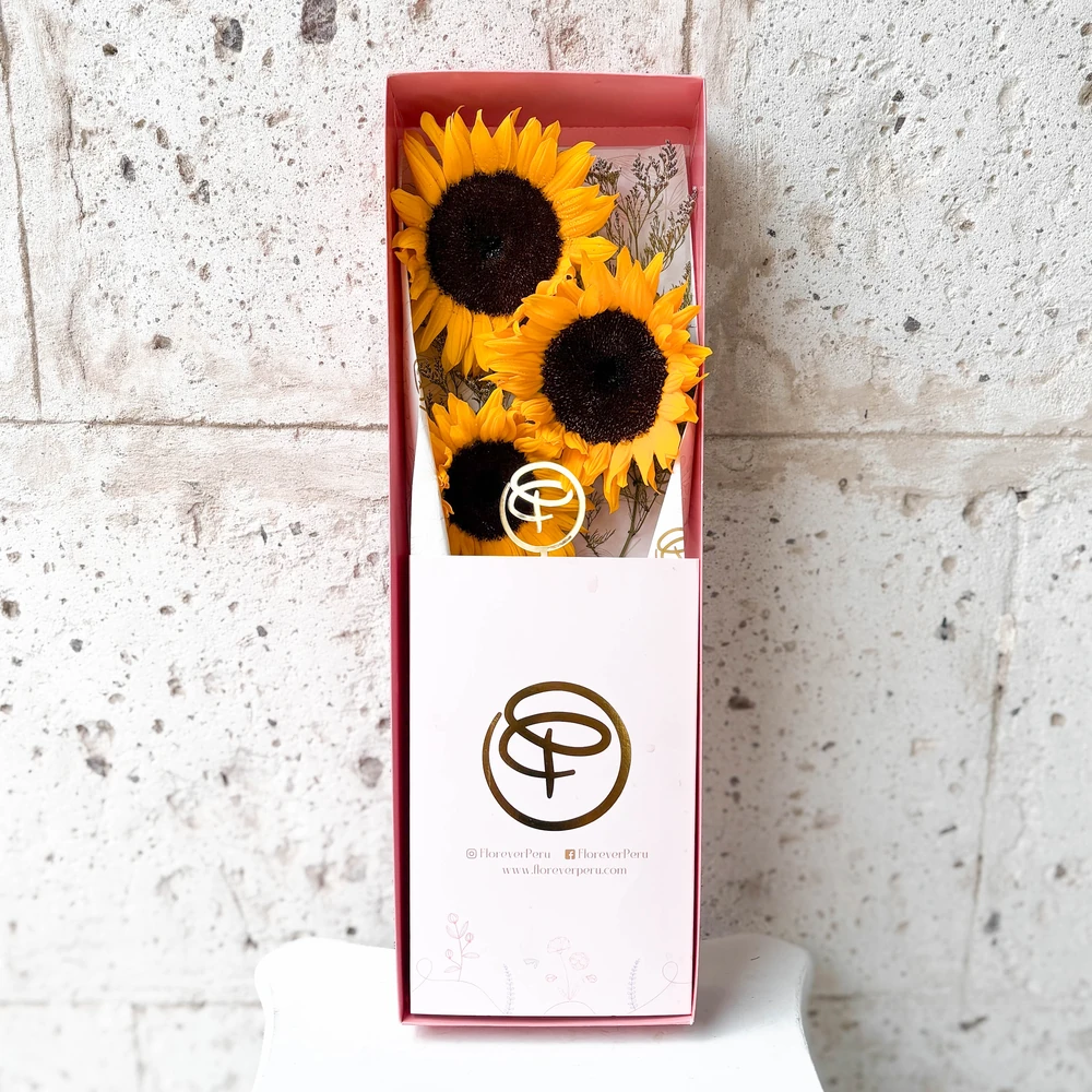 CAJA LARGA 3 GIRASOLES — GIRASOL