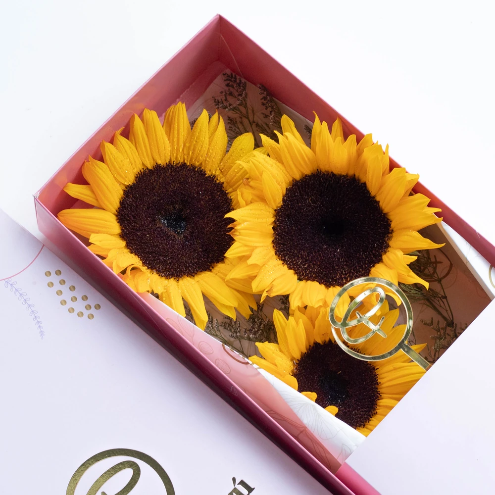 CAJA LARGA 3 GIRASOLES — GIRASOL