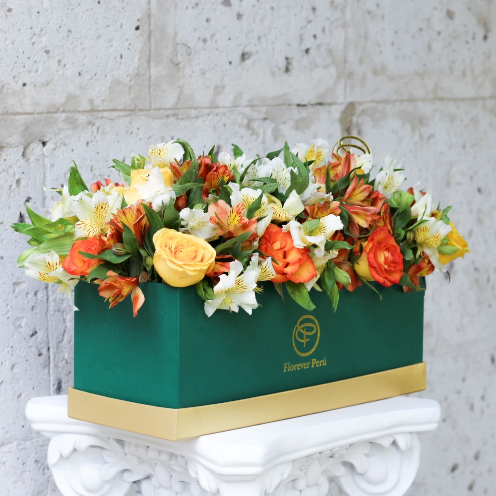 DELUXE BOX