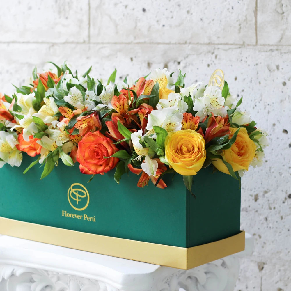 DELUXE BOX — astromelias