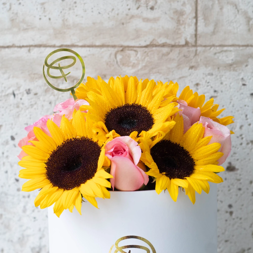 GIRASOLES MIX BOX — GIRASOL