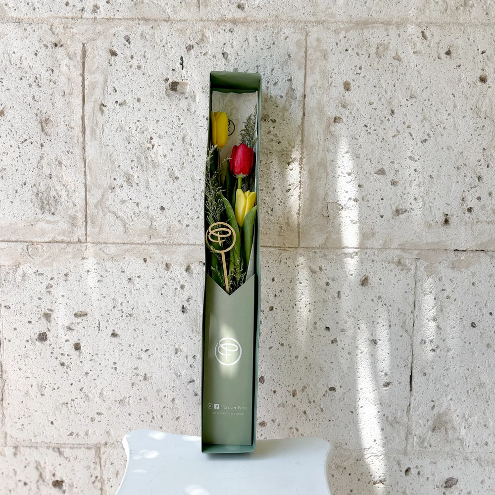 CAJA LARGA 3 TULIPANES — tulipan
