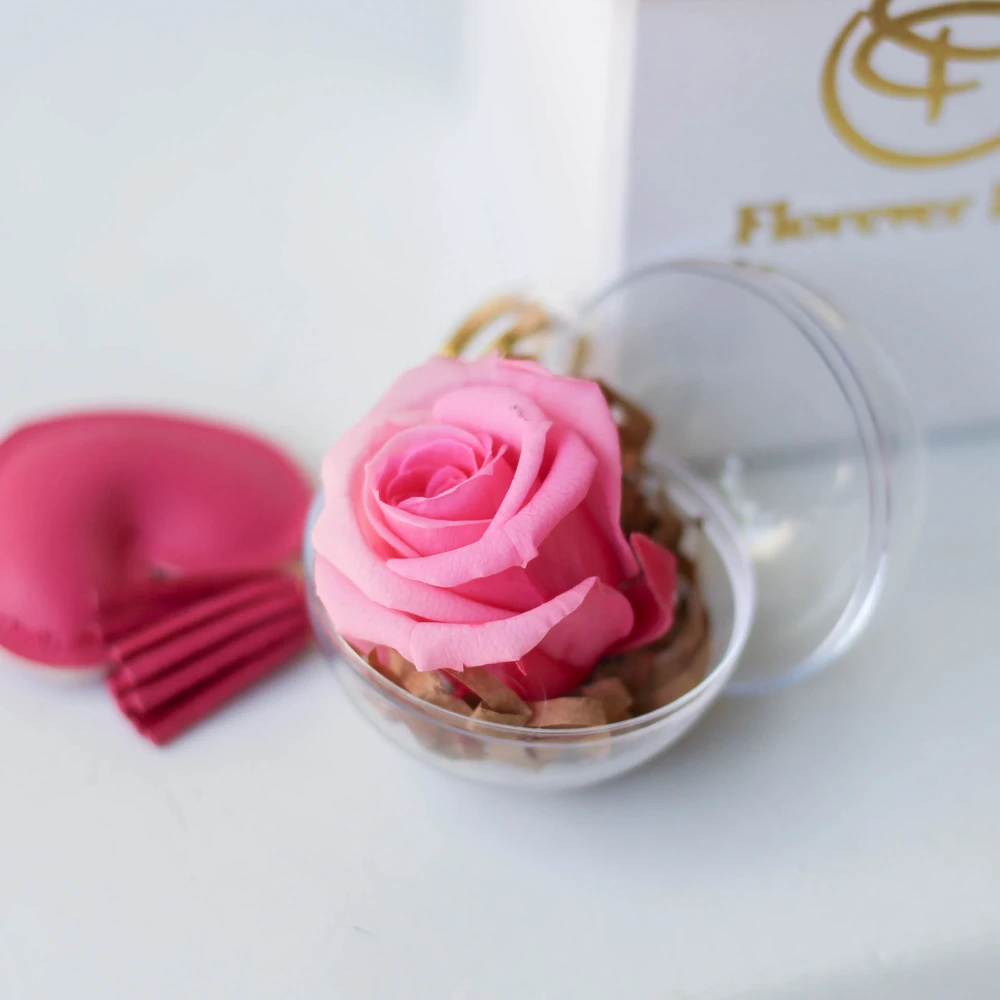 ENCHANTED ROSE ROSADA — preservada