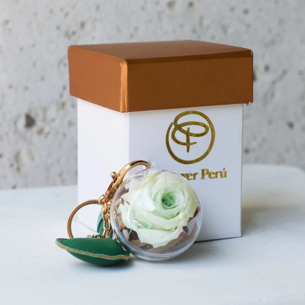 ENCHANTED ROSE VERDE AGUA — P