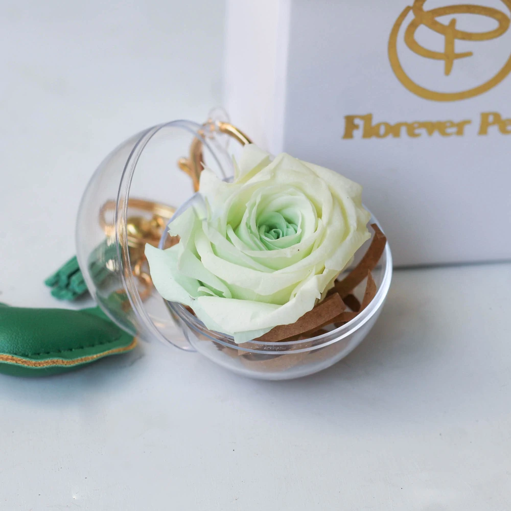 ENCHANTED ROSE VERDE AGUA — P