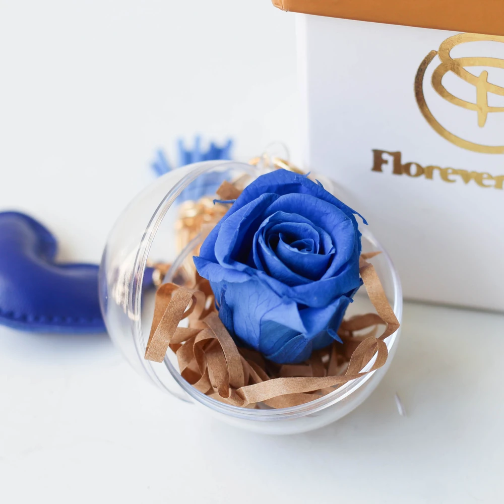 ENCHANTED ROSE AZUL — preservada