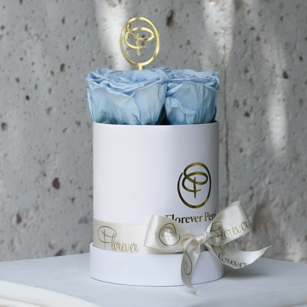 ETERNAL ROSE CELESTE — preservada