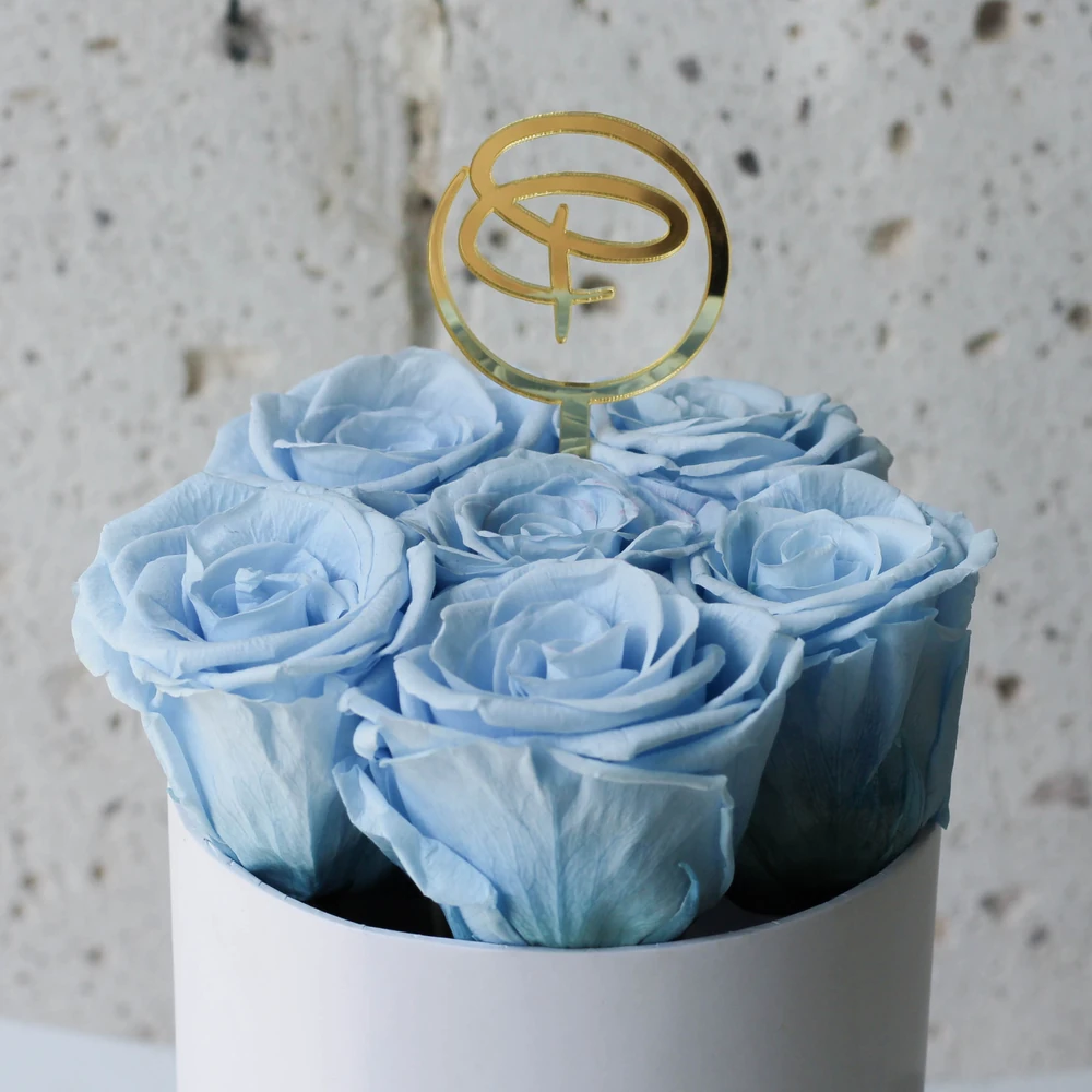 ETERNAL ROSE CELESTE — preservada