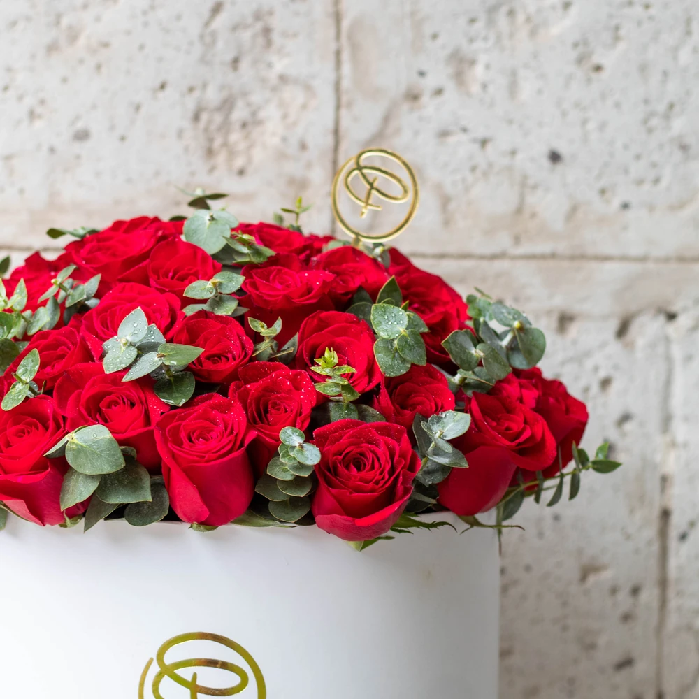GARDEN BOX — rojo