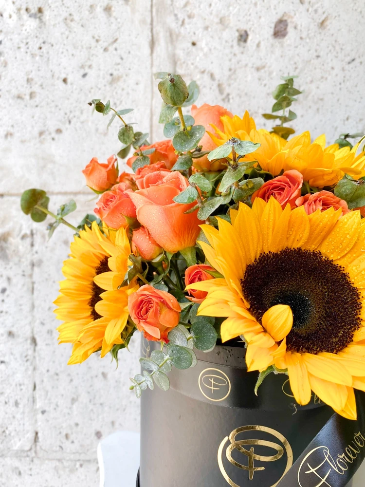 SUNRISE BOX — GIRASOL