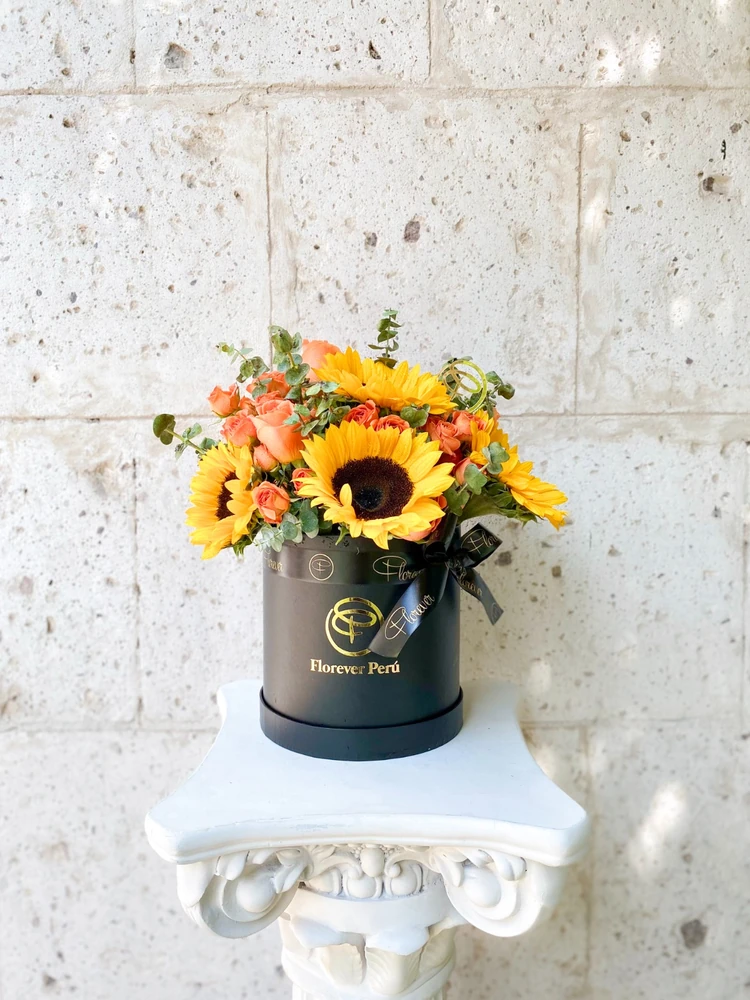 SUNRISE BOX — GIRASOL