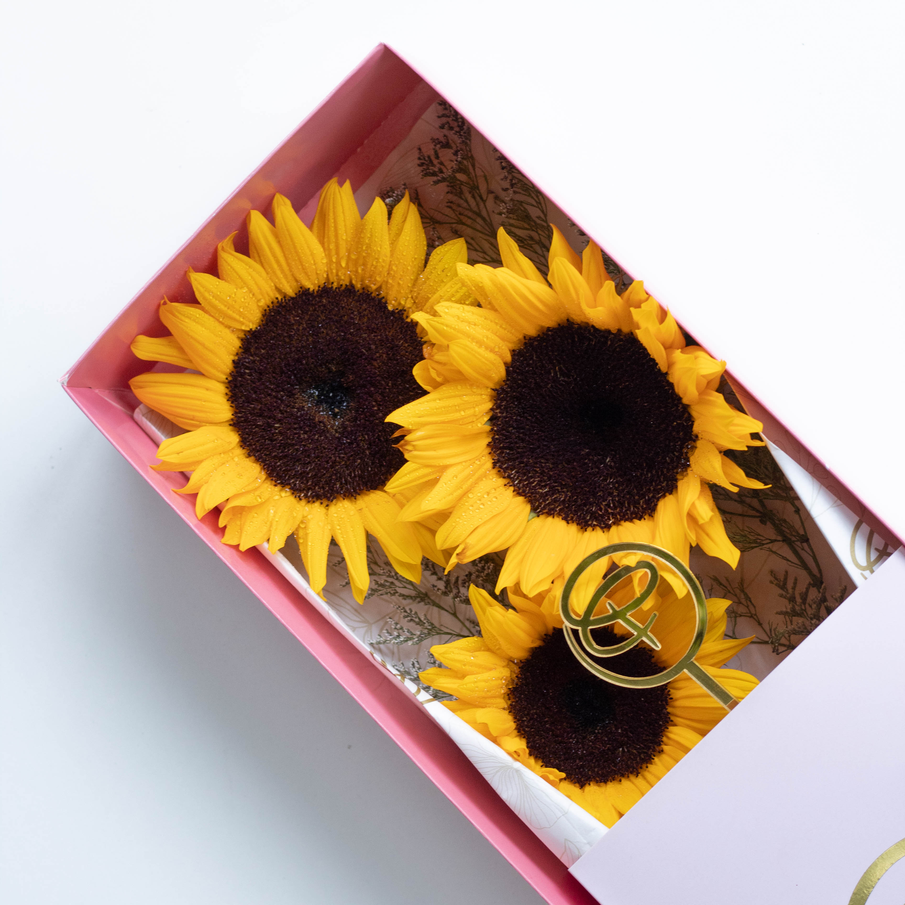 CAJA LARGA 3 GIRASOLES