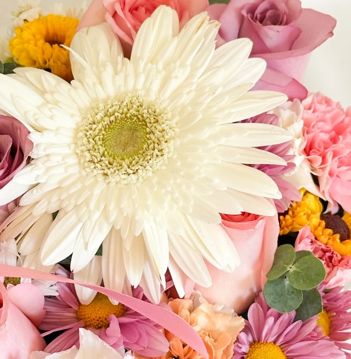 LOVE SPRING BOX — rosas